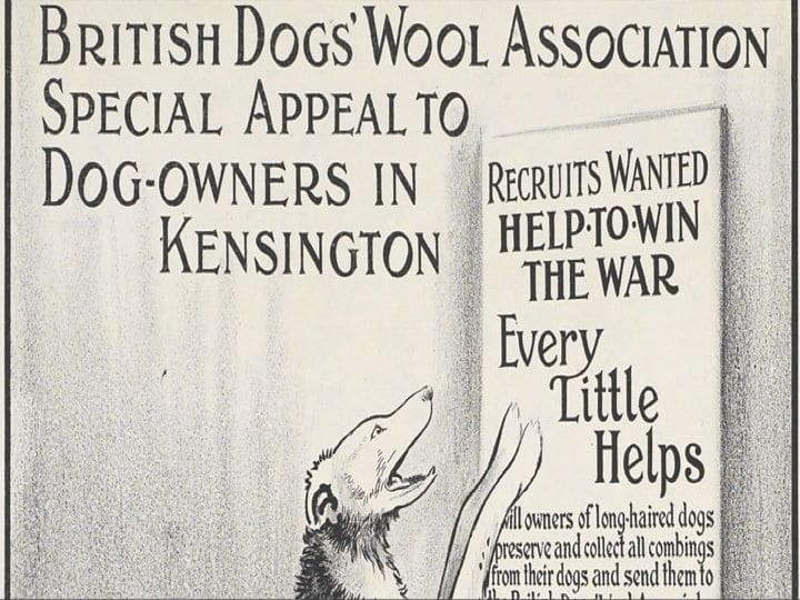 BRITISH DOG WOOL APPEAL FOR FUR