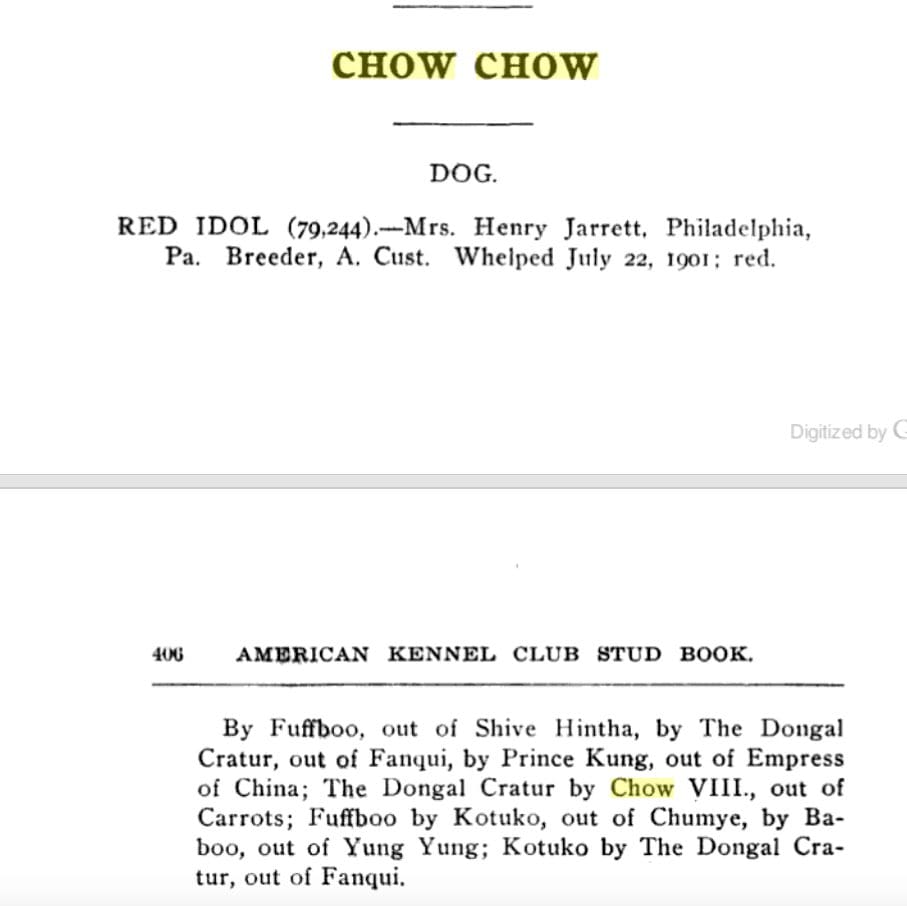 1904 AKC STUD BOOK CHOW
