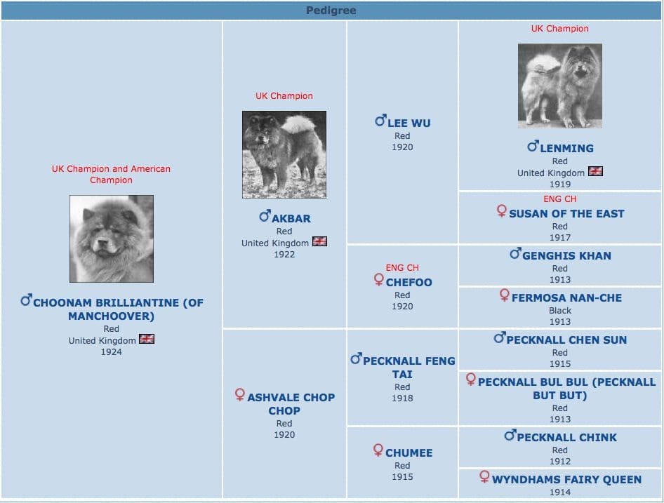 CHOONAM BRILLIANTINE PEDIGREE