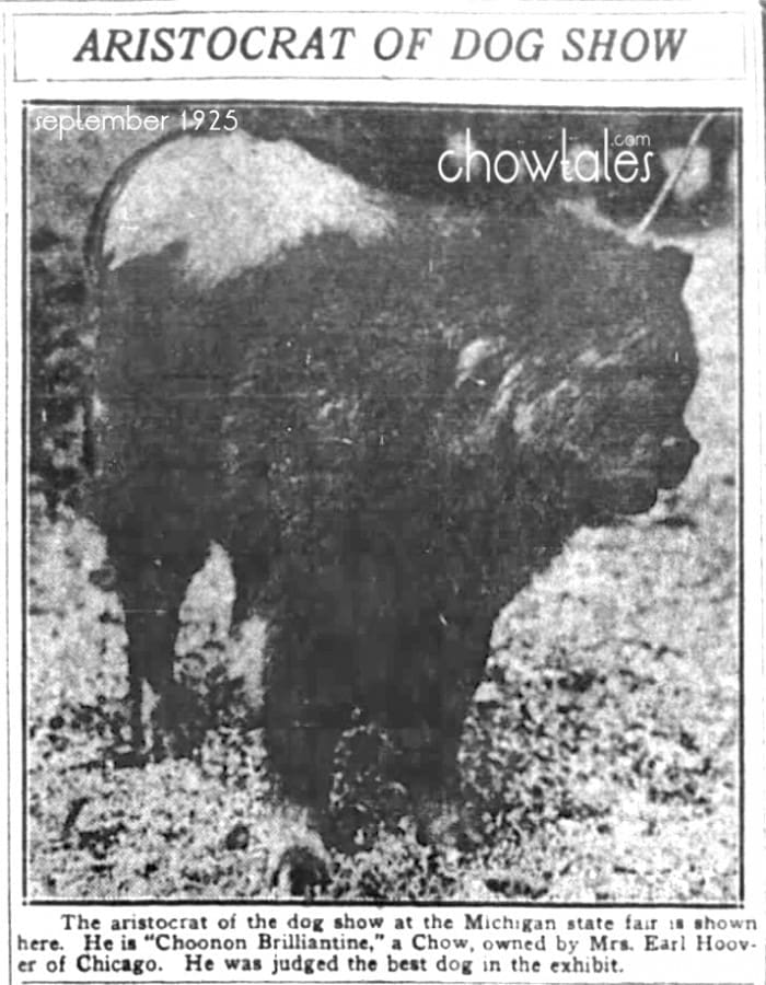 Choonam Brilliantine Sept 9, 1925 Best in Show Michigan State Fair