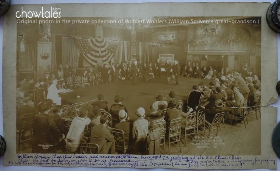 William Scriven, Chow-Chow breeder and renowned author is seen here, aged 78, judging at the U.S. Chow-Chow Club- the first Englishman ever to be so honored. He paid his own expenses for the trip, although generously offered same saying "I've never taken a half-penny for judging. Its too late to start now!" (Felix Scriven his son)