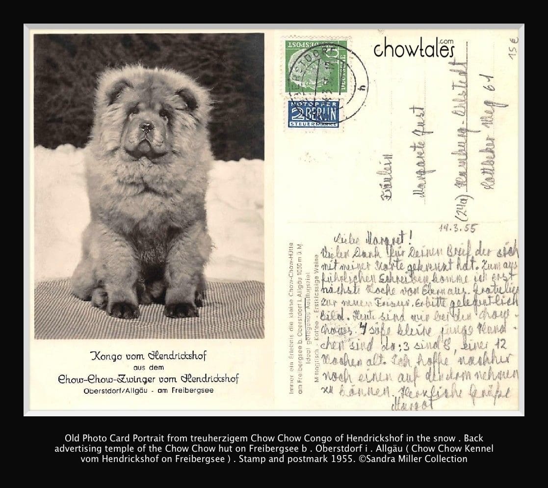 chow chow hutte 1955 postcard
