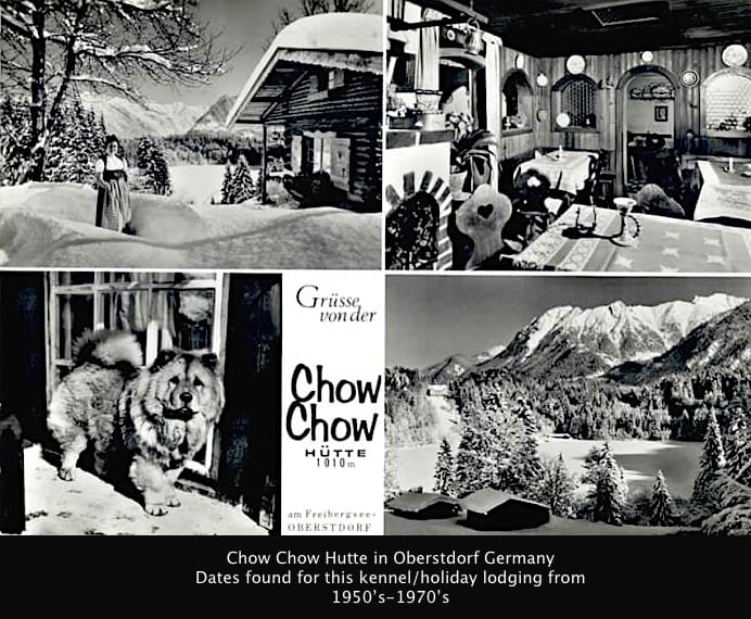 CHOW CHOW HUTTE GERMANY