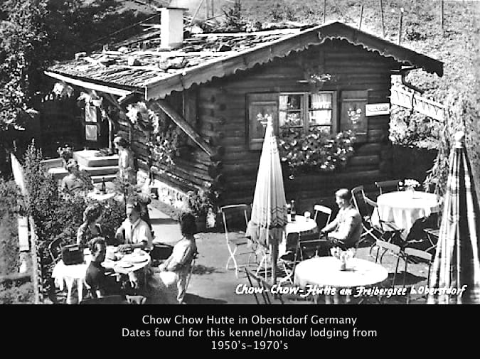 CHOW CHOW HUTTE GERMANY