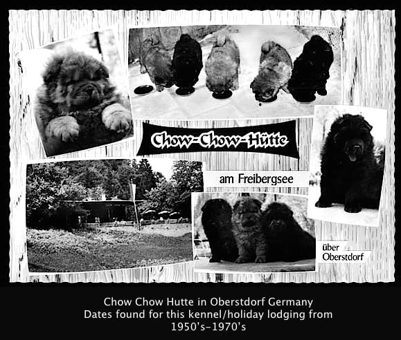 CHOW CHOW HUTTE GERMANY