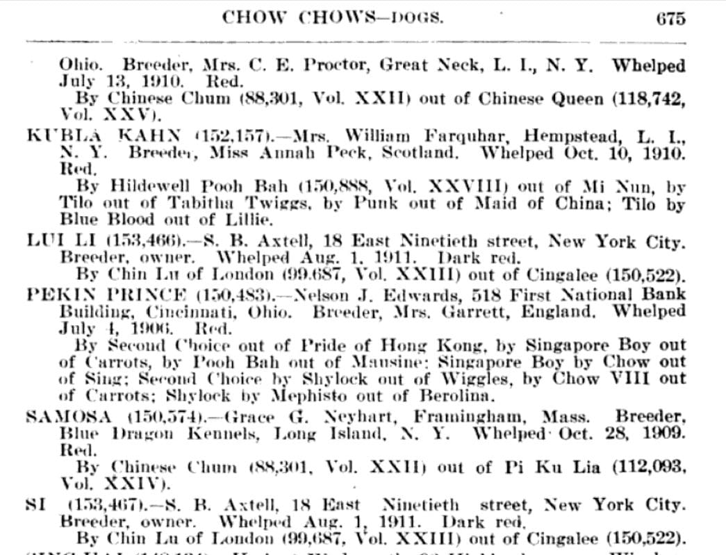 1911 AKC STUDBOOK CHOW ENTRIES