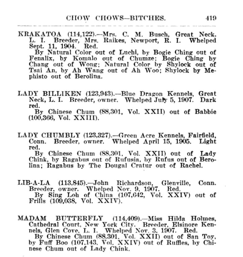 1909 AKC STUDBOOK ENTRIES