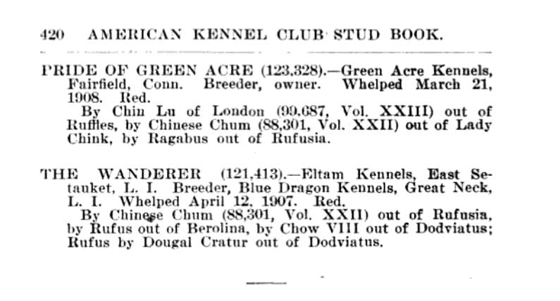 1909 AKC STUDBOOK ENTRIES