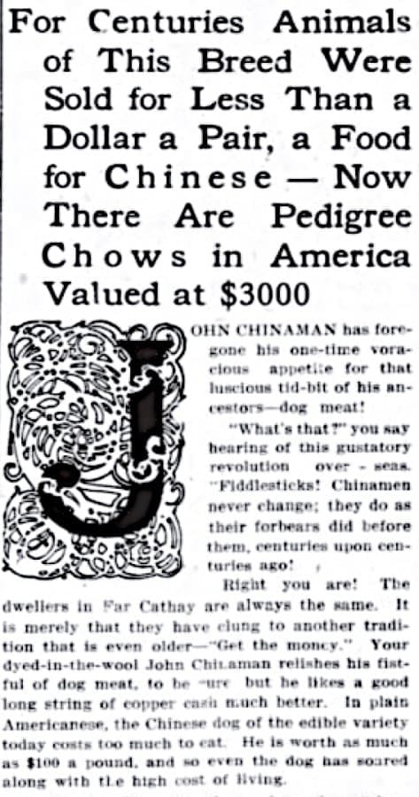 1913 ARTICLE DOG DEWEY MADE FAMOUS WAS A CHOW