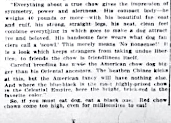 1913 ARTICLE DOG DEWEY MADE FAMOUS WAS A CHOW