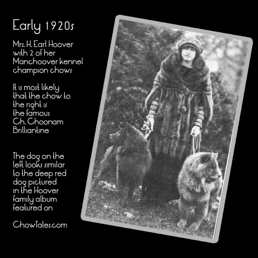 Mrs H. Earl Hoover of Manchoover Chows in the early 1920's Dogs in Review March 2016