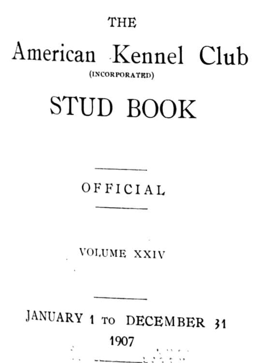 1907 akc stud book