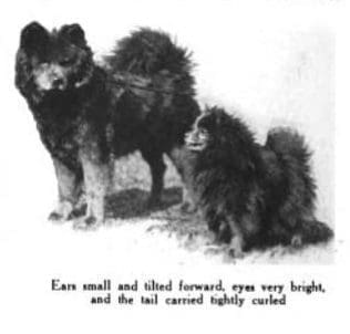 1914 House and Garden article