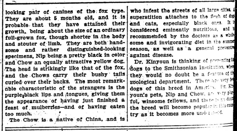 1901 NIP AND CHOW CHINESE IMPORTS DR KINYOUN 12016-03-22