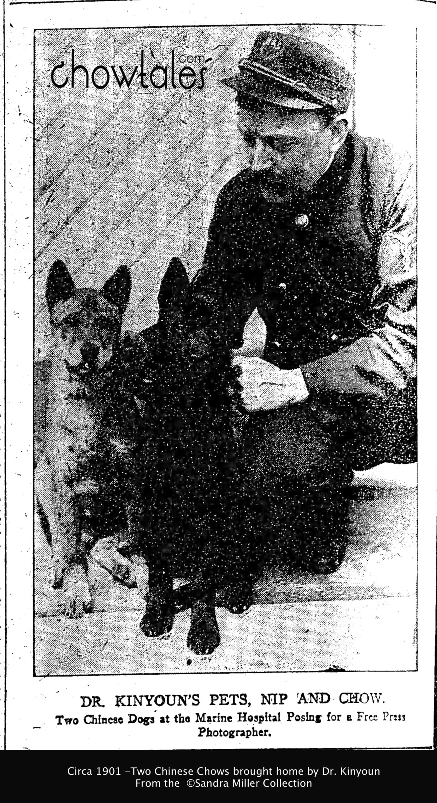 DR KINYON 1901 BRINGS 2 CHINESE DOGS TO MARINE HOSPITAL