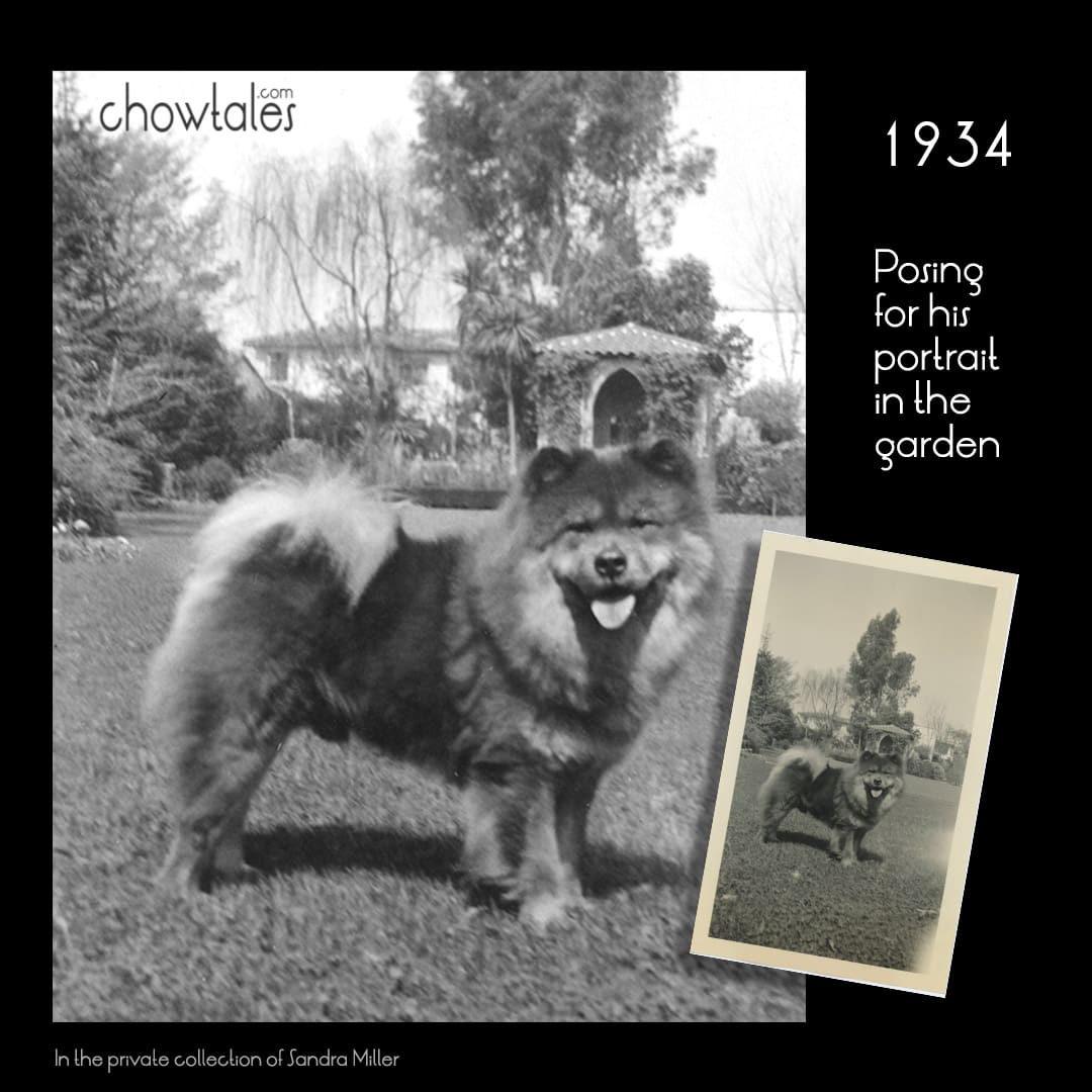 1934 Photo Chow in Garden collage