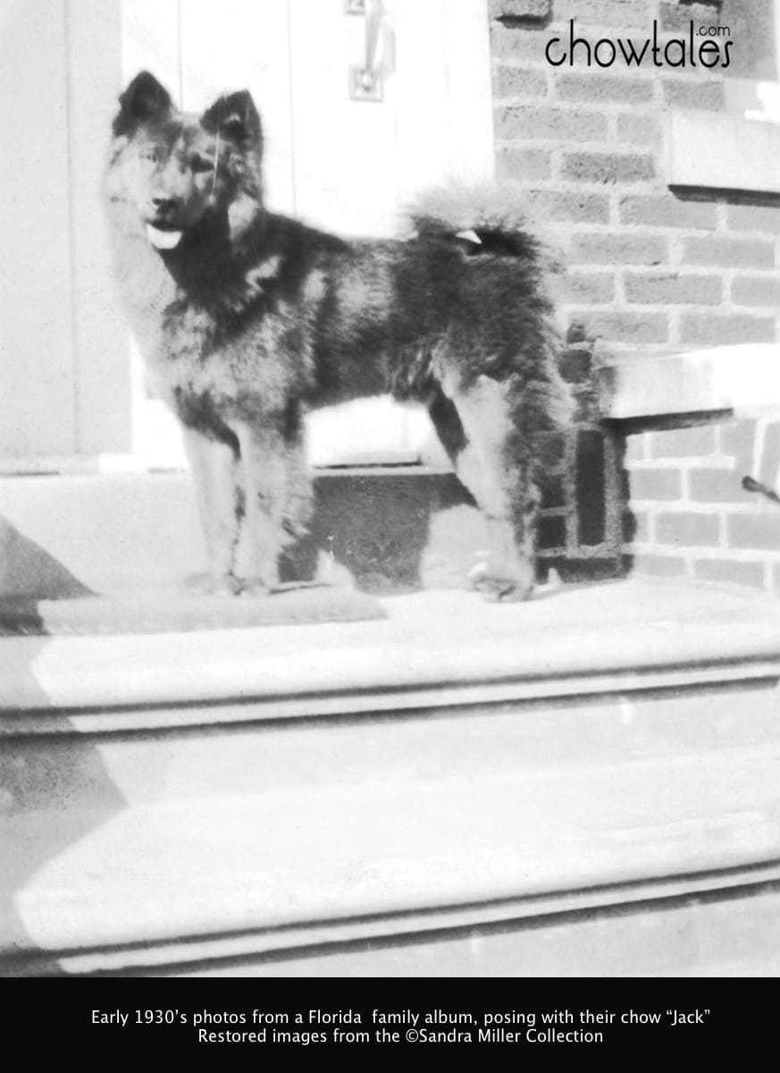 Back of Photo "Jack" 1932