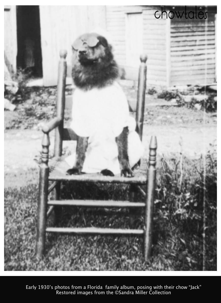 Back of photo "Jack" 1931 Harpersfield