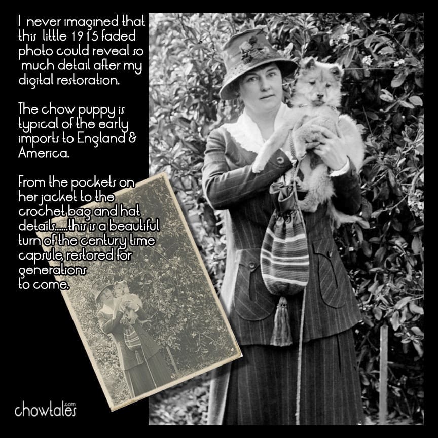 1914 Woman with her chow puppy collage