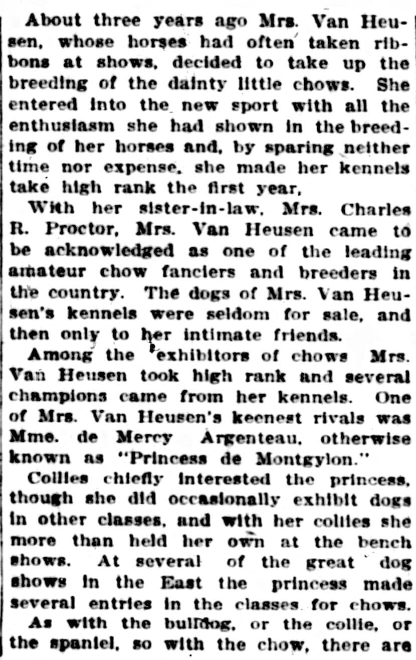 A.O Van Heusen Who Dyed Chin Chino Princess 1907