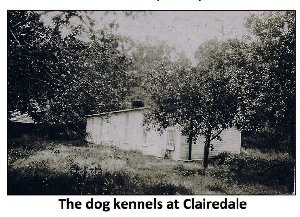 The dog kennels at Clairedale