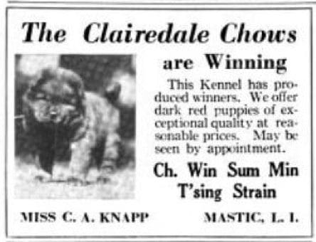 1922 Country Life Ad Clairedale Chows
