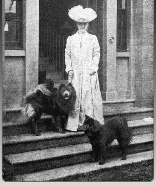 1914 Lady Dunbar of Mochrum with 2 of her dogs Blue Joss and Blue China. Both Chinese imports