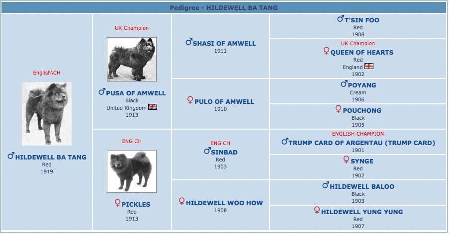 Hildewell Ba Tang Pedigree