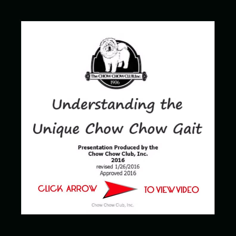 chowtales unique chow gai ARROWt