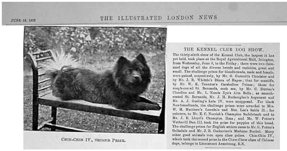 June 18, 1892 Chin-Chin a Chinese imported chow being shown at the 36th Show of The Kennel Club