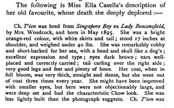 21 Casella desc Tien and Lun Tai 1904 Non Sporting Herbert Compton
