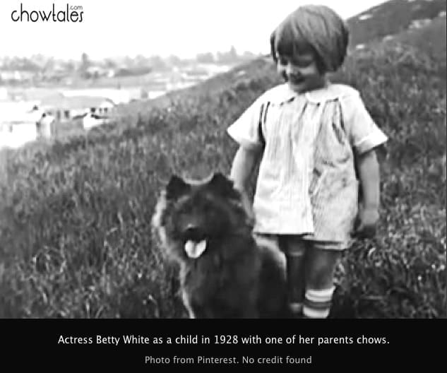 Betty White A Golden Girl To All Animals By Lori Golden ARTICLE IN THE PET PRESS Betty’s love for animals can be traced directly back to her parents. “When I was brought home from the hospital, my mother said we had an orange marmalade cat, Toby. If Toby hadn’t approved of the new baby I would have been sent right back to the hospital.” Growing up as an only child, Betty says “I was the happiest only child in captivity.” But she had lots of four-footed siblings. She learned to love all creatures during family summer vacations in the High Sierras. And there were always pets around her house when she was a kid. “We had a lot of Pekes. We loved Pekes because they’re such stalwart little guys and they’re so bright. So we had Pekes, and Chow Chows, and jack of all trades- mixed breeds. We had a German Shepherd, Dolly… and Cocker Spaniels. I was a lucky little girl. I had parents who’d bring something home and say, “hey, Betty, he followed us home. Can we keep it?” “During the depression,” Betty continues, “my dad made radios to earn extra money because times were bad all over. The problem was nobody else had any money to buy radios either. So he’d trade them for dogs. Well, the dogs ate and the radios didn’t, so it was not the best business deal he ever made. But it was more or less to give the dogs better homes then they had. At one point I think the number got up to 26, very briefly, but we placed them all."