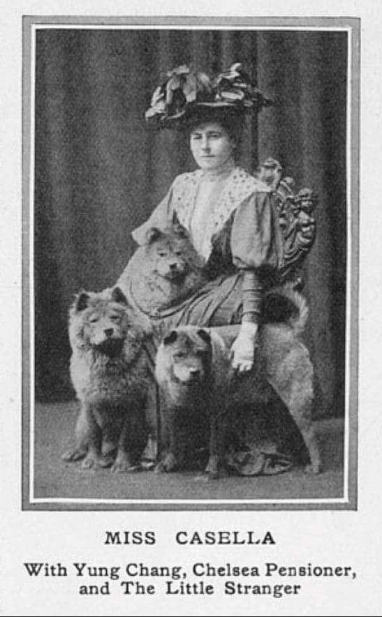 Miss Casella with her chows