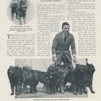 SEPTEMBER 30, 1924 THE AMERICAN KENNEL GAZETTE CLASSIFIED ADS FROM SAME ISSUE AS THE EUGENE BYFIELD ARTICLE "THE CHOW IN MERRIE ENGLAND"