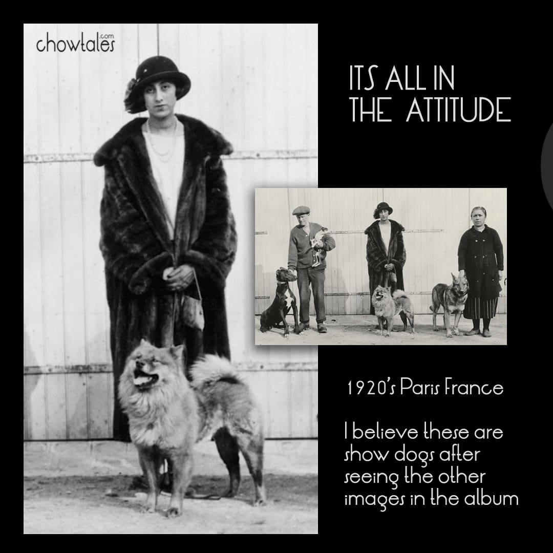 ITS ALL IN THE ATTITUDE COLLAGE