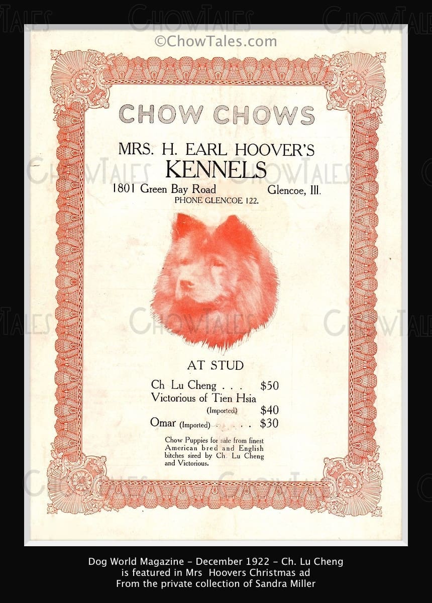 Lu Cheng 1922 Dog World ad.jpg 5528