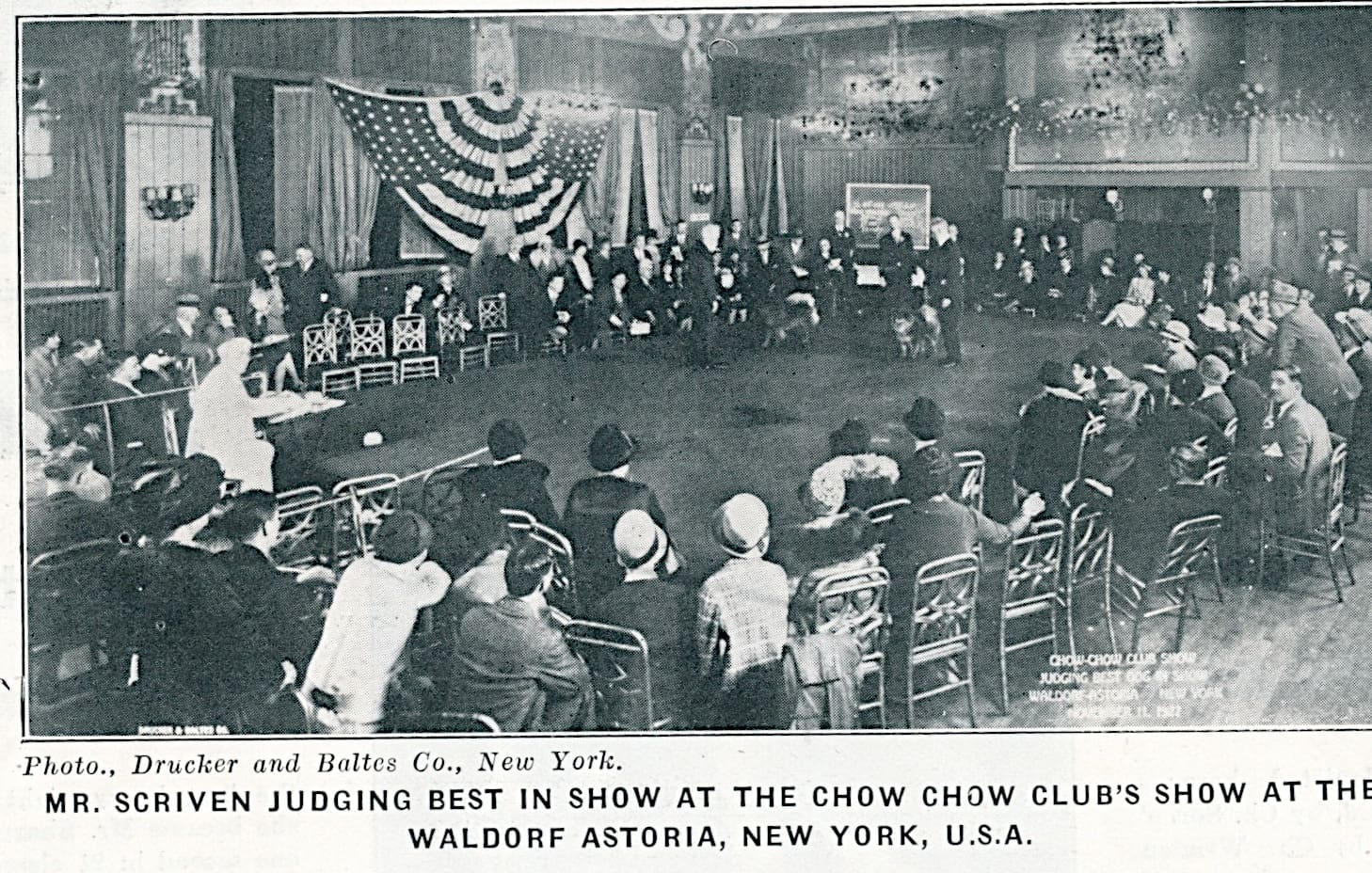 MULFRA article Sept 5 1930 Supplement to Our Dogs.. Mr. Scriven judging in 1927 at the Waldorf Astoria, New York, U.S.A.5