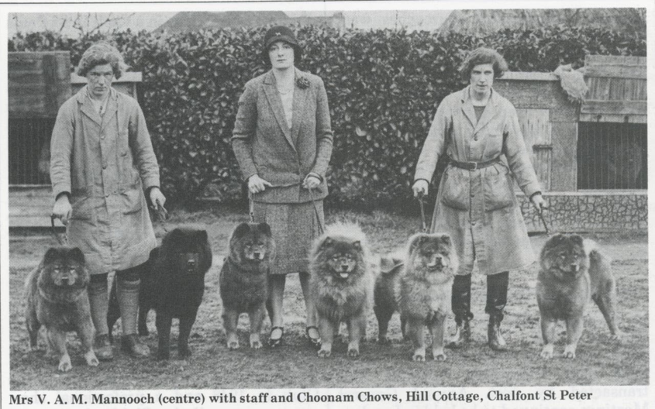 One of the greats of the Chow breed in England in the 1920, Mrs. Mannooch of the Choonam Kennels