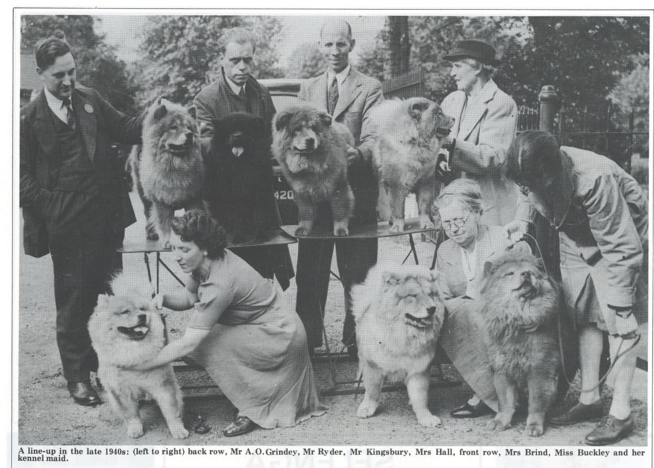 P-4-IMAGE Kennel Gazette Feb 1985 founding of Chow Chow Club UK - Version 2