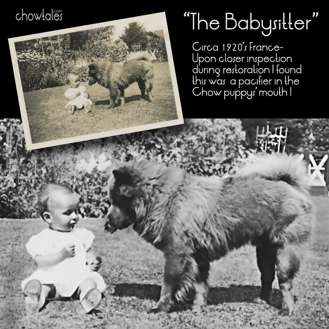 THE BABY SITTER COLLAGE