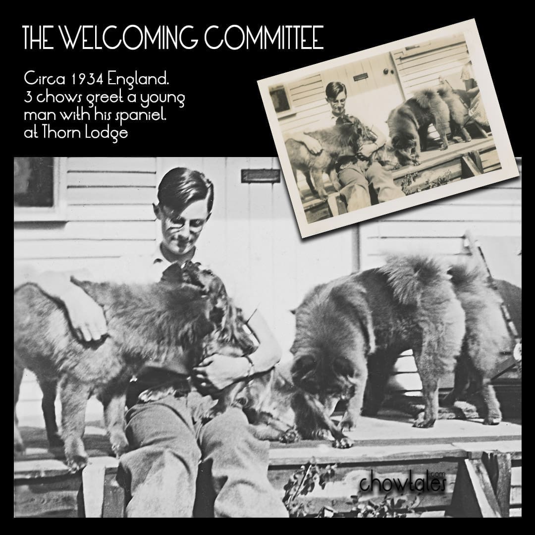 The Welcoming Committee collage