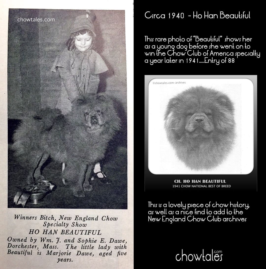 1940 ho Han beautiful COLLAGE dog news