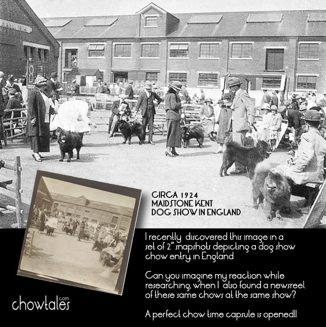 1924 maidstone kent dog show paid 50 collage