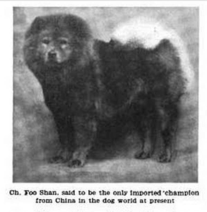 1911 Foo Shan Hutton Win Sum English Ch.