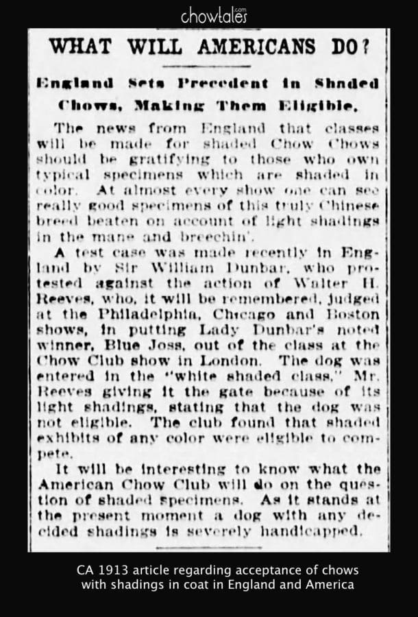 1913-usa-article-shaded-chows-in-england-5595