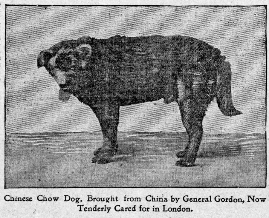 1898-e-gordon-chow-fad