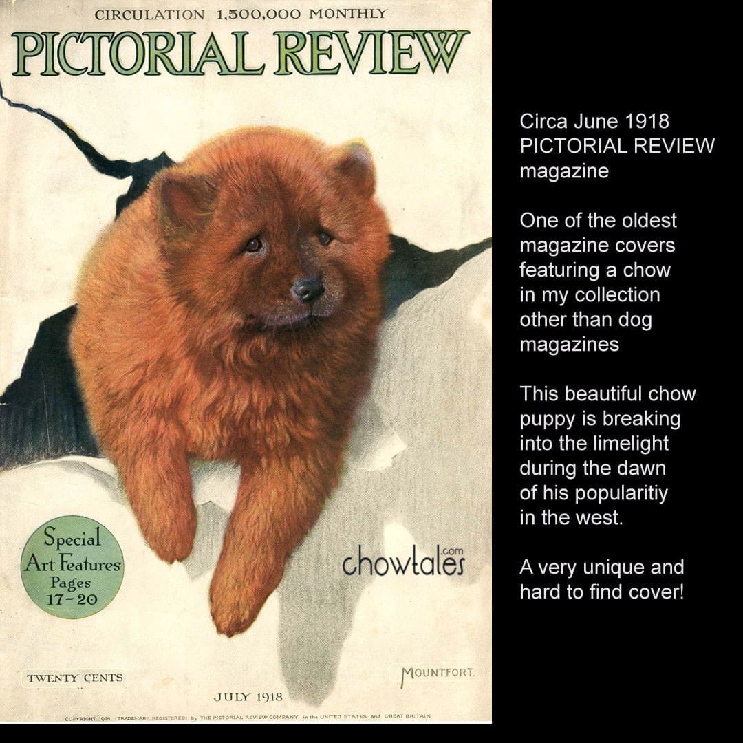 Chow Chow Magazine Cover Pictorial Review 1918