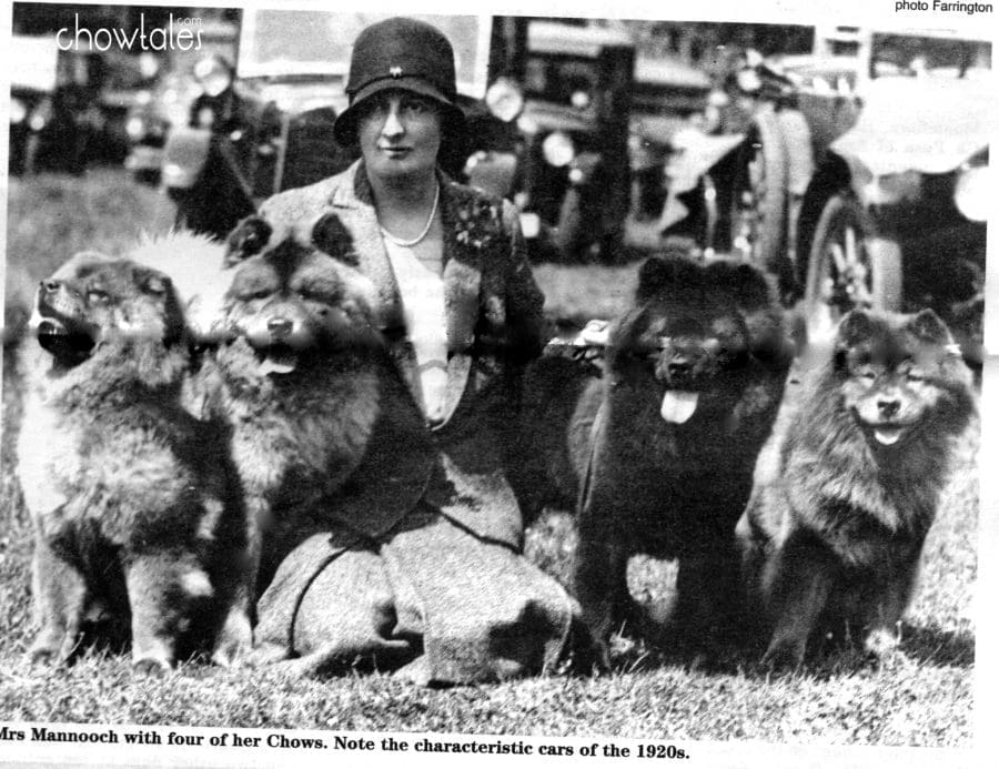 ARTICLE- Mrs Mannooch and her famous Choonam Chows of the 1920s-1940s ...