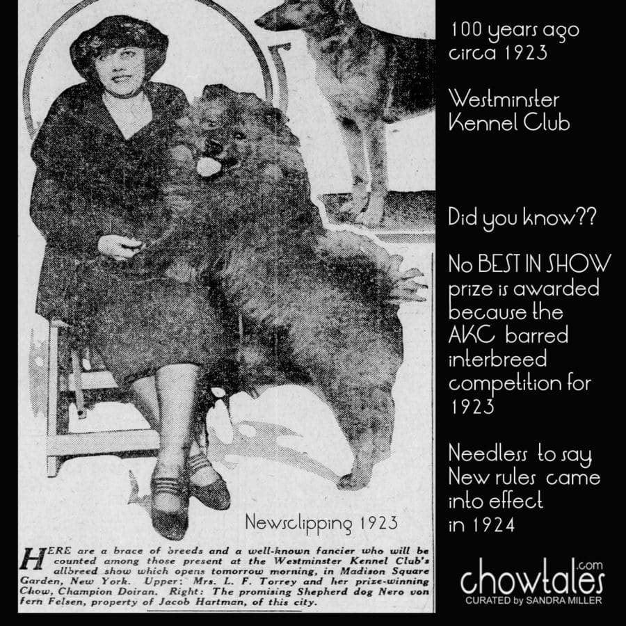 100 years ago Westminster Kennel Club Best in Show not awarded ChowTales